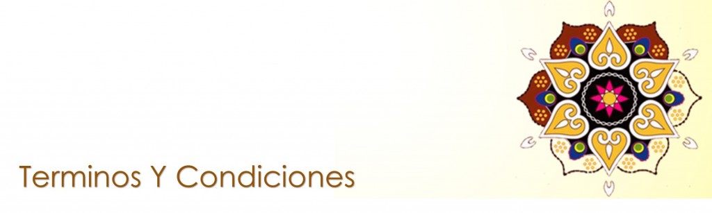 terminos-y-condiciones