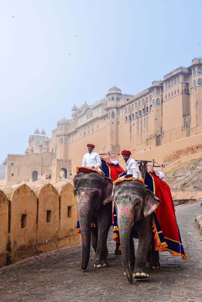 Viaje a Real Rajasthan